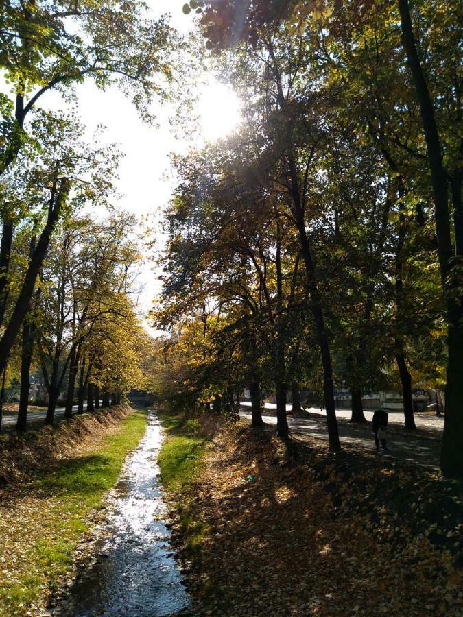 Kuca Jeka Vrnjačka Banja Exterior foto